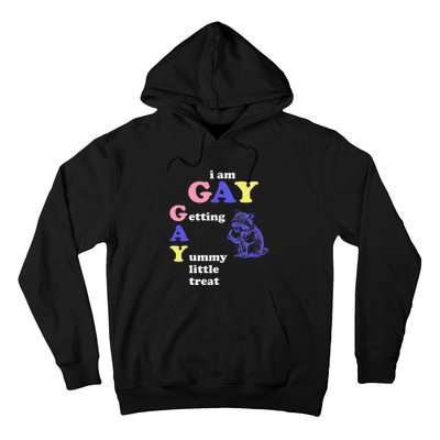 I Am Gay Getting A Yummy Little Treat Apparel Hoodie