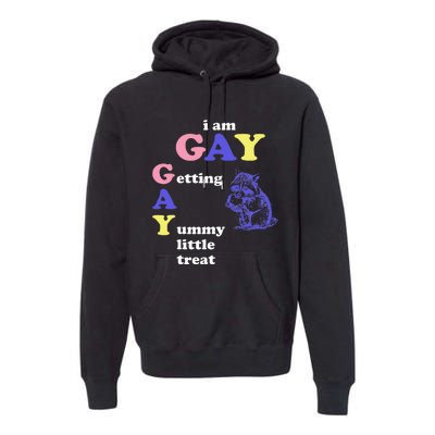 I Am Gay Getting A Yummy Little Treat Apparel Premium Hoodie