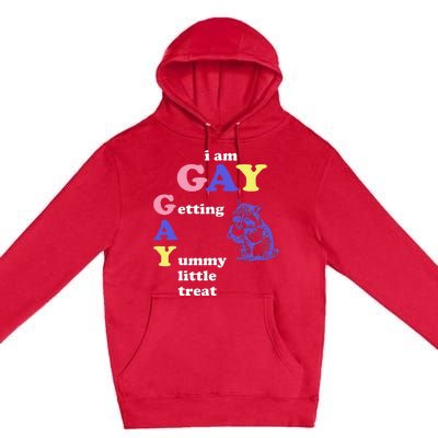 I Am Gay Getting A Yummy Little Treat Apparel Premium Pullover Hoodie