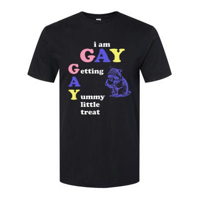 I Am Gay Getting A Yummy Little Treat Apparel Softstyle CVC T-Shirt