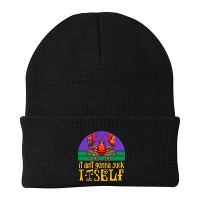 It Ain’T Gonna Suck Itself Funny Crawfish Mardi Gras Vintage Gift Beanie
