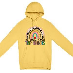 It's A Good Day To Teach Tiny Humans Premium Pullover Hoodie