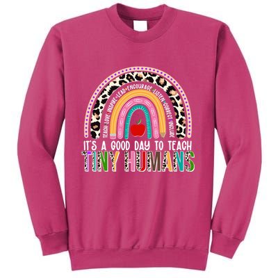 It's A Good Day To Teach Tiny Humans Sweatshirt