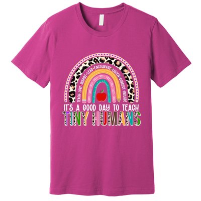 It's A Good Day To Teach Tiny Humans Premium T-Shirt