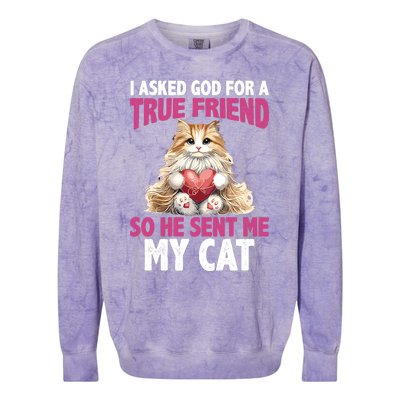 I Asked God For A True Friend So He Sent Me My Cat Colorblast Crewneck Sweatshirt