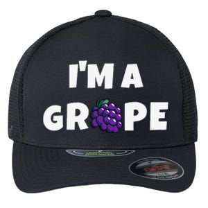 Im A Grape Halloween Grape Costume Flexfit Unipanel Trucker Cap