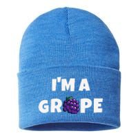 Im A Grape Halloween Grape Costume Sustainable Knit Beanie