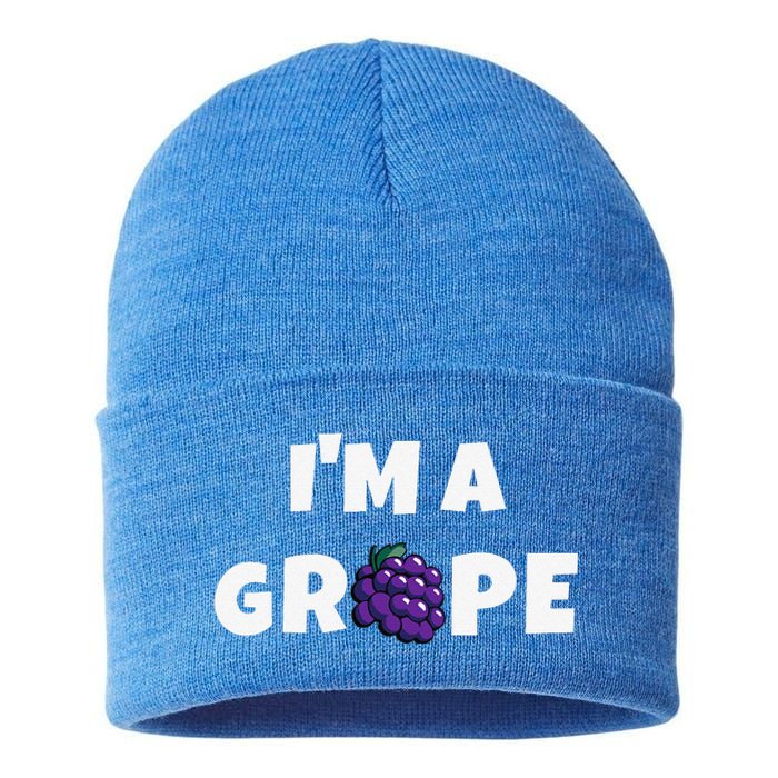 Im A Grape Halloween Grape Costume Sustainable Knit Beanie