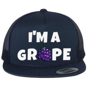 Im A Grape Halloween Grape Costume Flat Bill Trucker Hat