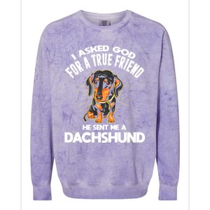 I Asked God For A True Friend Doxie Dad And Mom Dachshund Gift Colorblast Crewneck Sweatshirt