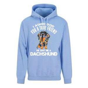 I Asked God For A True Friend Doxie Dad And Mom Dachshund Gift Unisex Surf Hoodie