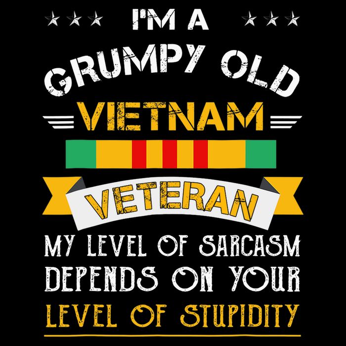 Im A Grumpy Old Vietnam Veteran Cropped Pullover Crew