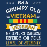 Im A Grumpy Old Vietnam Veteran Magnet