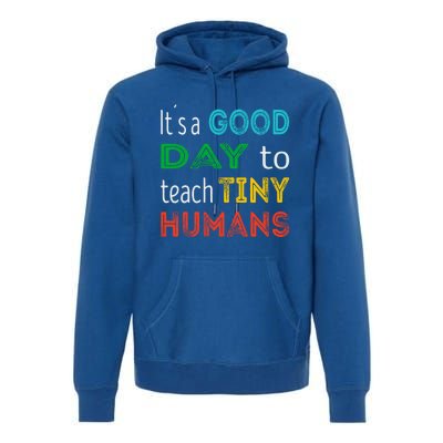 It's A Good Day To Teach Tiny Hu Gift Premium Hoodie