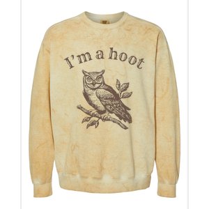 IM A Hoot Owl Bird Pun Sarcastic Jokes Colorblast Crewneck Sweatshirt