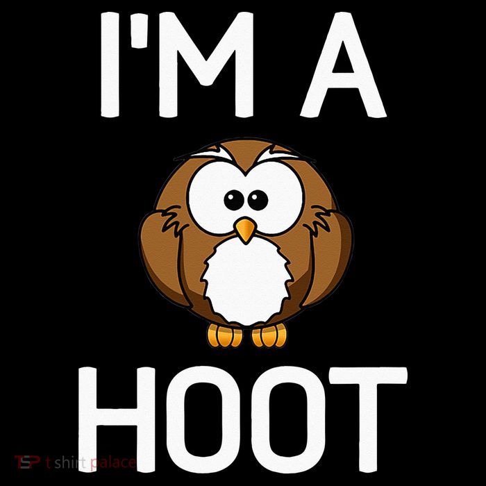 Im A Hoot Owl Pun Funny Jokes Sarcastic Sayings. Womens T-Shirt