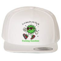 IM A Happy Go Lucky Ray Of Fucking Sunshine With Sunglasses Wool Snapback Cap
