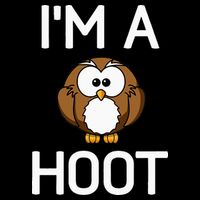 Im A Hoot Owl Pun Funny Jokes Sarcastic Sayings Cropped Pullover Crew