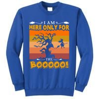 I Am Here Only For The Boooo Vintage Halloween Pumpkin Gift Sweatshirt