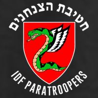 Israel Army Idf 35th Paratroopers Brigade Back & Front 7 Panel Mesh Trucker Snapback Hat