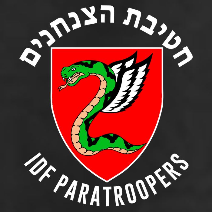 Israel Army Idf 35th Paratroopers Brigade Back & Front 7 Panel Mesh Trucker Snapback Hat