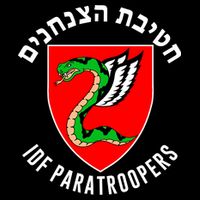 Israel Army Idf 35th Paratroopers Brigade Back & Front 16 in Basic Backpack