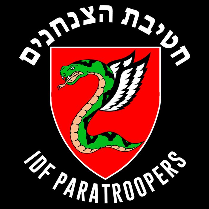 Israel Army Idf 35th Paratroopers Brigade Back & Front 16 in Basic Backpack
