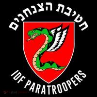 Israel Army Idf 35th Paratroopers Brigade Back & Front Youth Performance Sprint T-Shirt