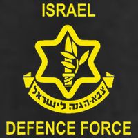 Israel Army (Idf) Israel Defense Force Adult Drive Performance Visor