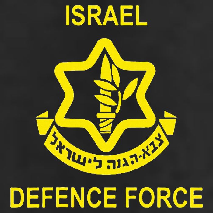 Israel Army (Idf) Israel Defense Force Adult Drive Performance Visor