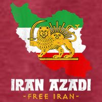 IRAN AZADI Iran Flag Map Lion Sun Sword Free Iran Revolution Pom Pom 12in Knit Beanie