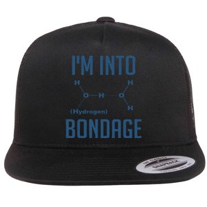 I AM INTO BONDAGE HYDROGEN Chemist Physics Funny Gift Flat Bill Trucker Hat