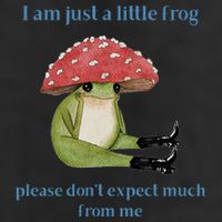 I Am Just A Little Frog Dont Expect Much Cute Cartoon 7 Panel Mesh Trucker Snapback Hat