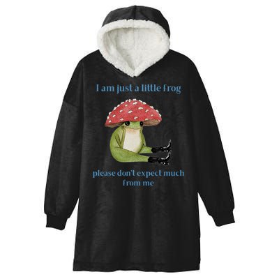 I Am Just A Little Frog Dont Expect Much Cute Cartoon Hooded Wearable Blanket