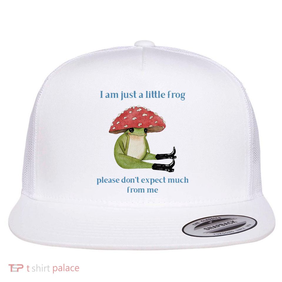 I Am Just A Little Frog Dont Expect Much Cute Cartoon Flatbill Hat