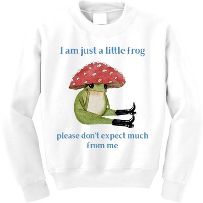 I Am Just A Little Frog Dont Expect Much Cute Cartoon Kids Sweatshirt