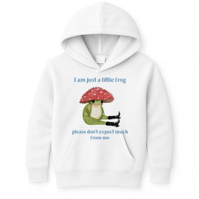 I Am Just A Little Frog Dont Expect Much Cute Cartoon Kids Hoodie