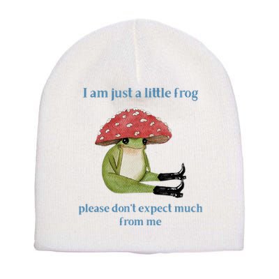 I Am Just A Little Frog Dont Expect Much Cute Cartoon Short Acrylic Beanie
