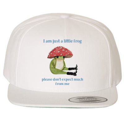 I Am Just A Little Frog Dont Expect Much Cute Cartoon Wool Snapback Cap
