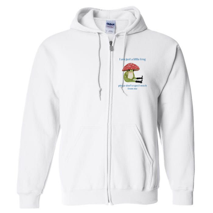 I Am Just A Little Frog Dont Expect Much Cute Cartoon Full Zip Hoodie
