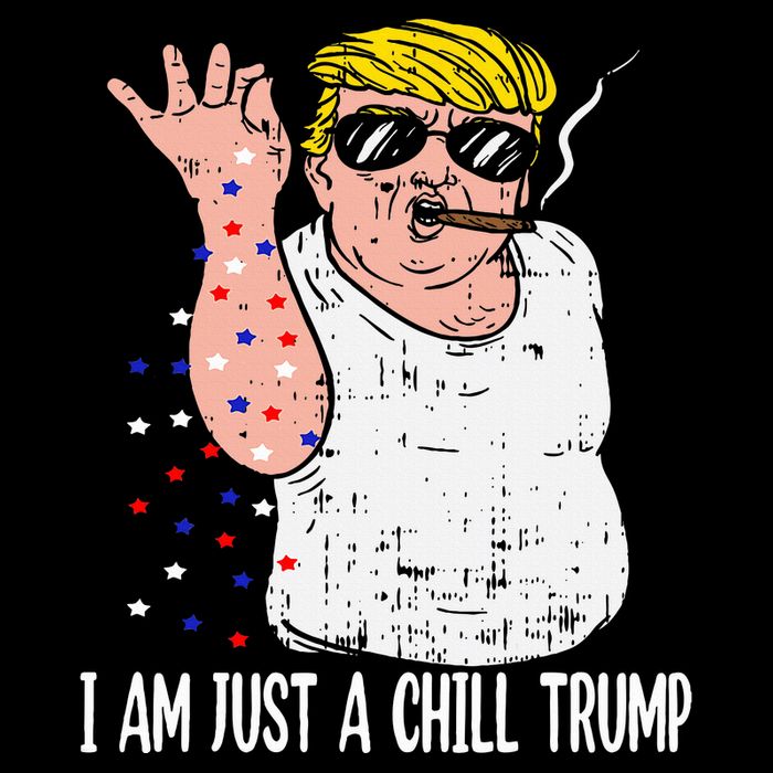 I Am Just A Chill Guy Trump Funny Meme For Trump Supporters Flat Bill Trucker Hat
