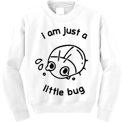 I Am Just A Little Bug Kids Sweatshirt