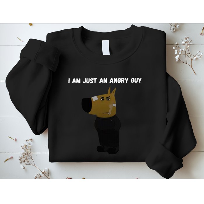 I Am Just An Angry Guy Meme Funny Sweatshirt
