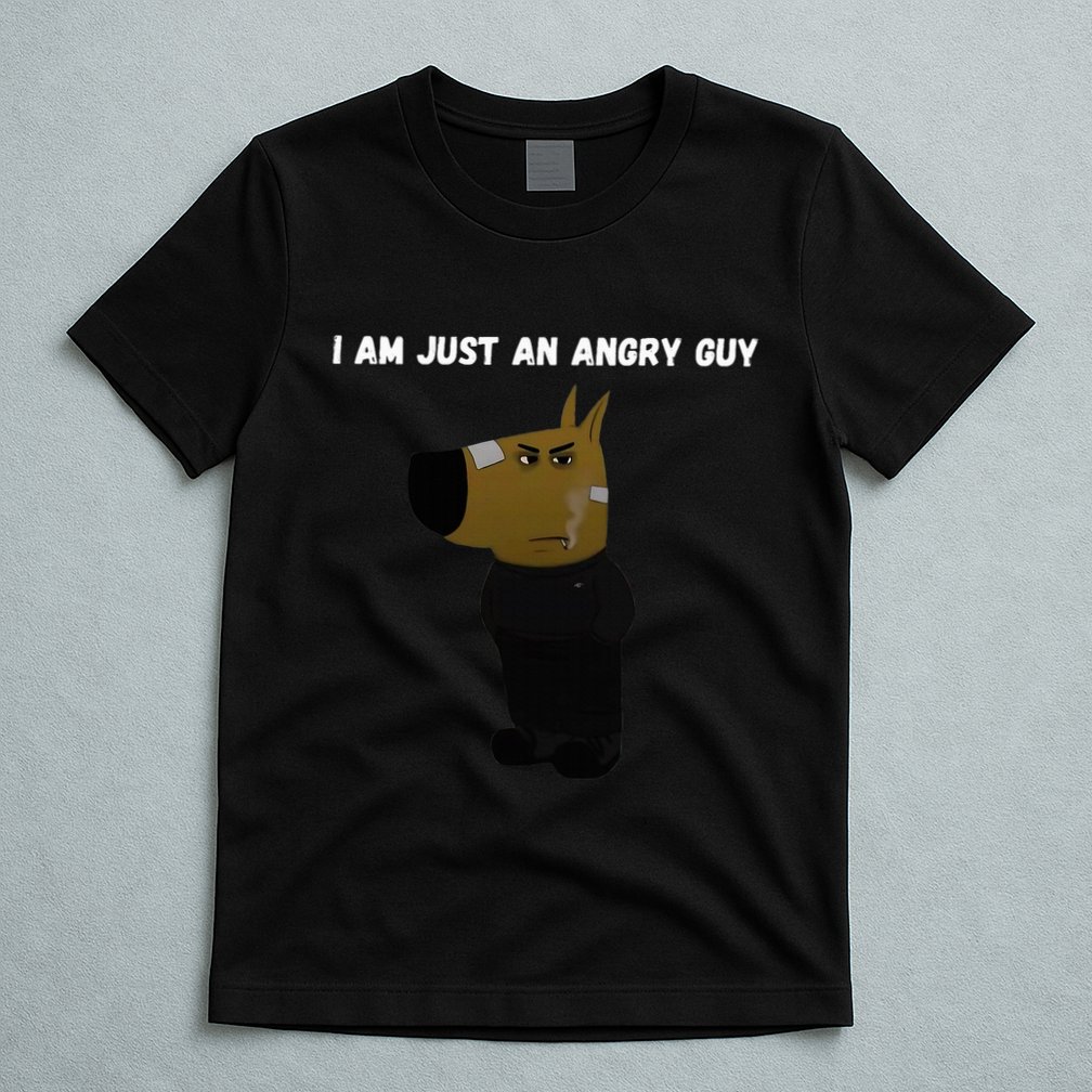 I Am Just An Angry Guy Meme Funny T-Shirt