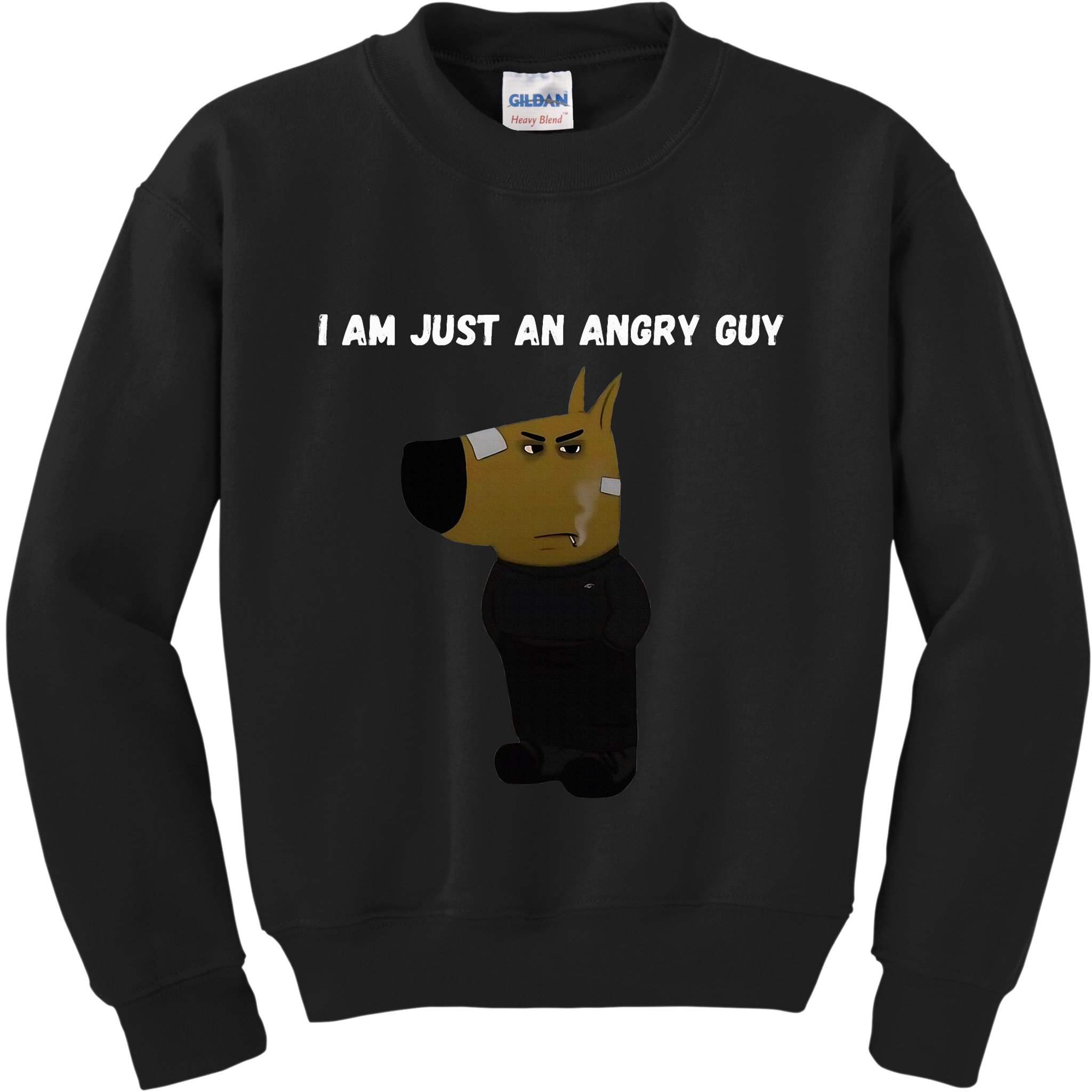 I Am Just An Angry Guy Meme Funny Kids Sweatshirt