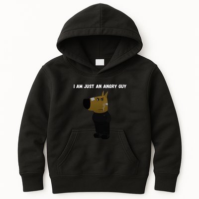 I Am Just An Angry Guy Meme Funny Kids Hoodie