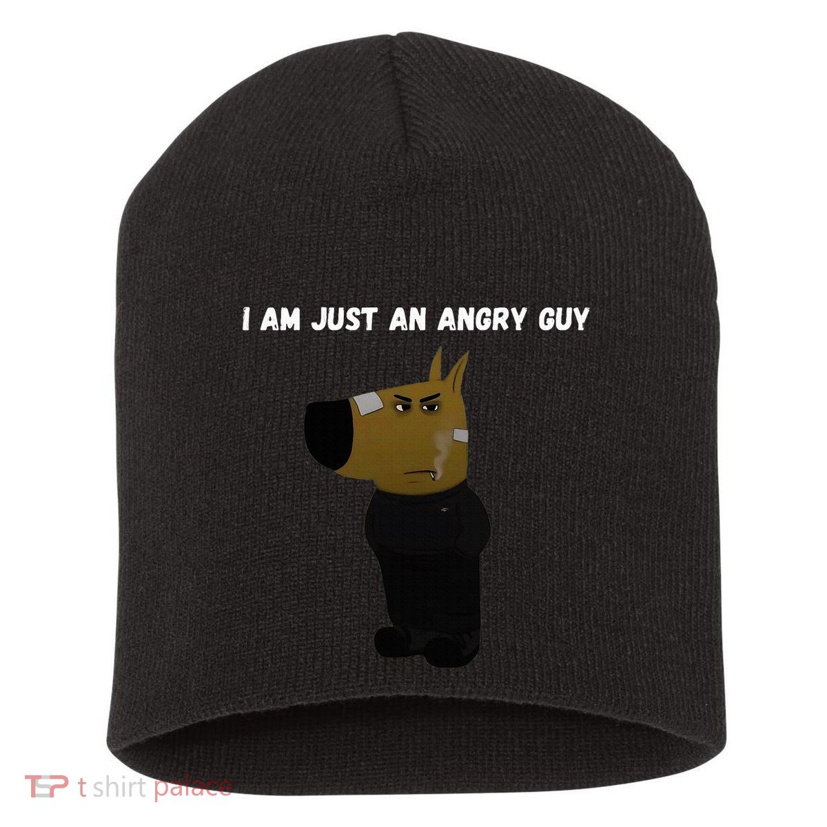I Am Just An Angry Guy Meme Funny Short Acrylic Beanie
