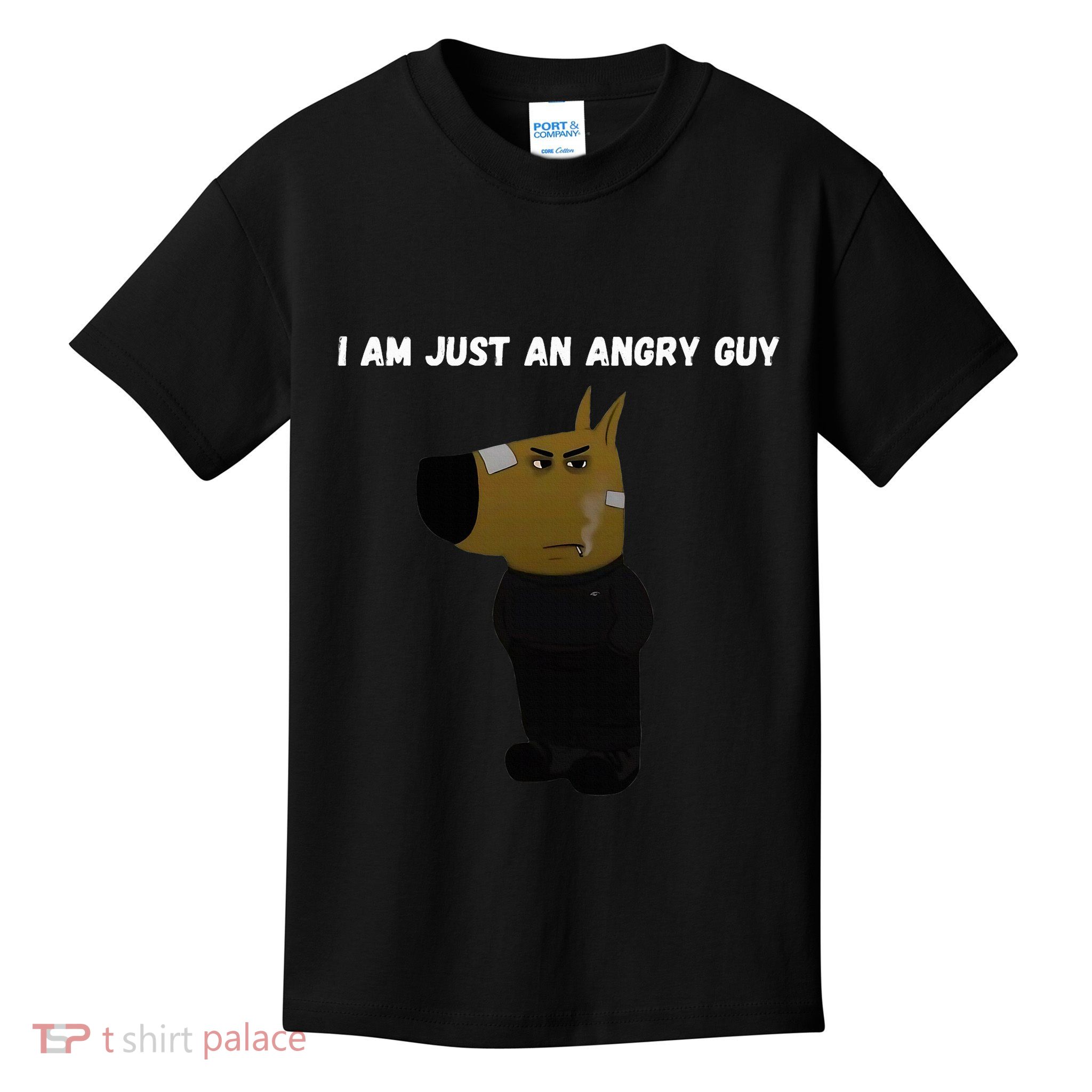 I Am Just An Angry Guy Meme Funny Kids T-Shirt
