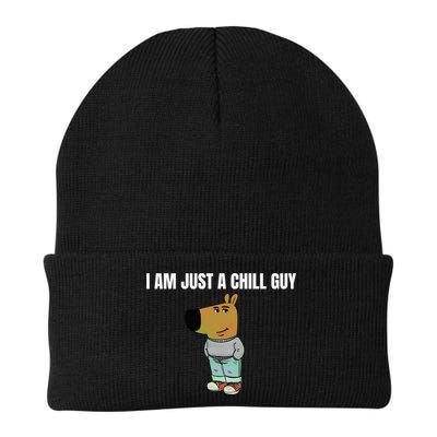 I Am Just A Chill Guy Funny Beanie