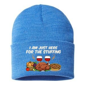 I Am Just Here For The Stuffing Gift Sustainable Knit Beanie